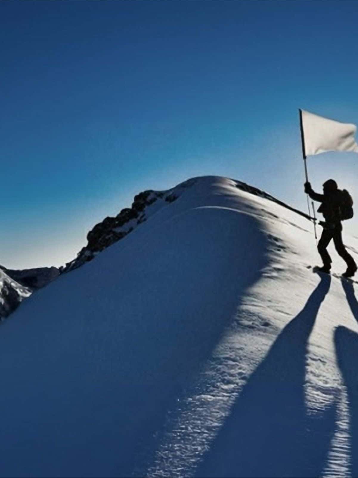 copertina aziende